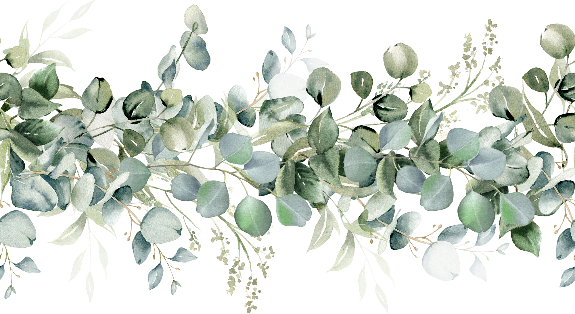 Eucalyptus seamless border. Watercolor greenery